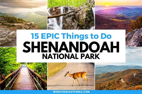About Shenandoah .